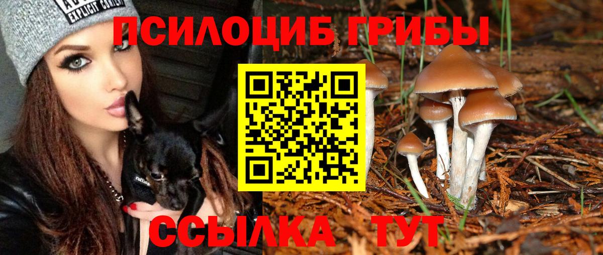 Псилоцибиновые грибы ЛСД Шарыпово